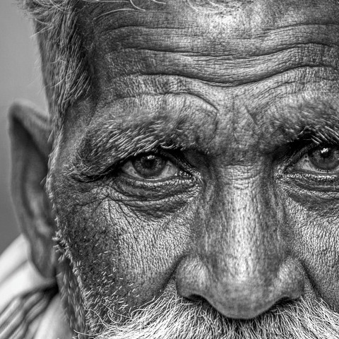 male paralegal portrait